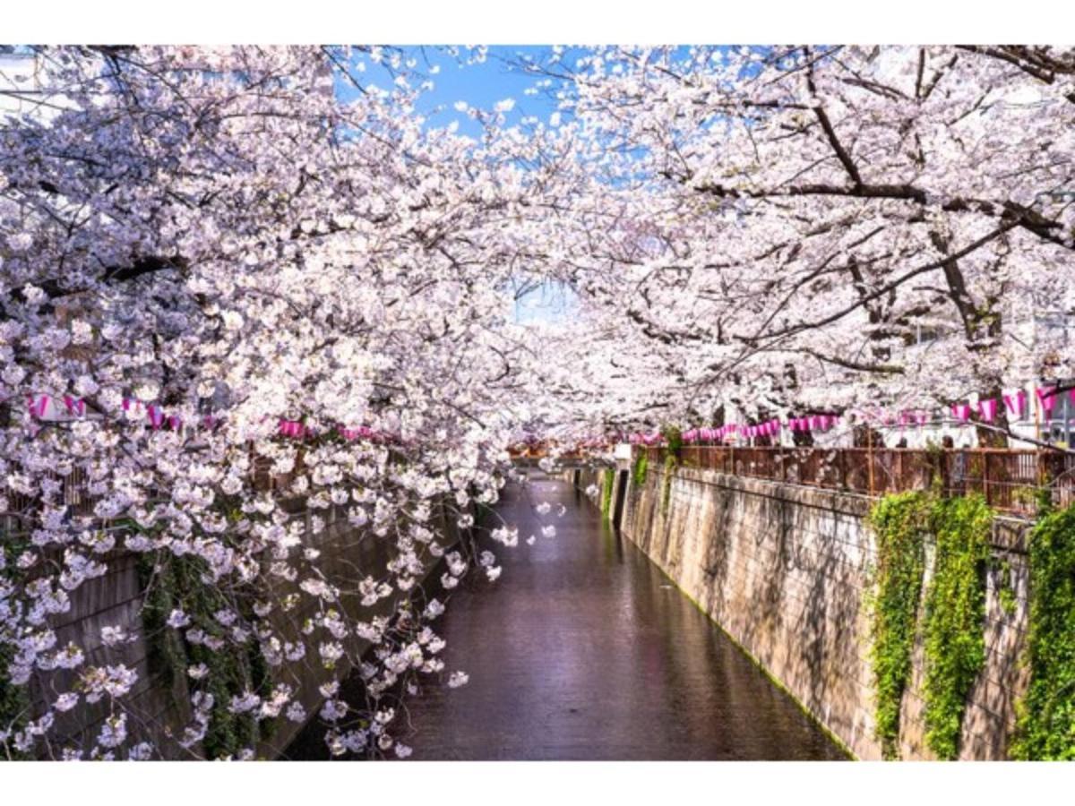 Act Hotel Shibuya - Vacation Stay 84228 東京都 外观 照片